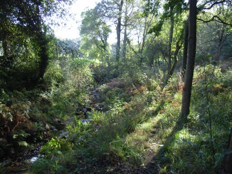 The Souto de Vila route begins beside the stream with the same name