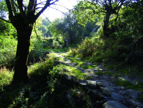 Camino empedrado hacia el antiguo molino de Dos Freixos