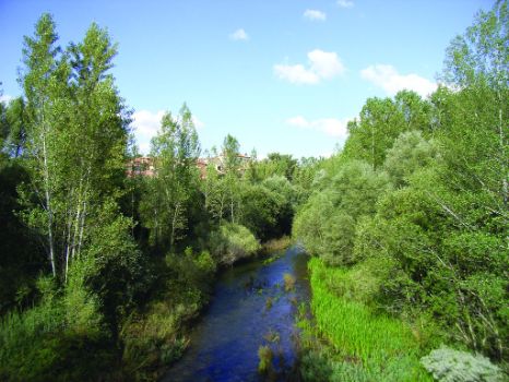 Río Arlanzón al inicio de la ruta