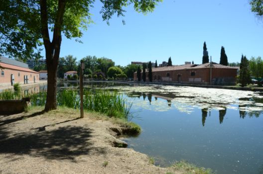 Vista del Canal de Castilla desde la dársena de Palencia