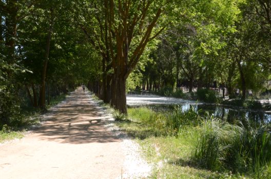 Camino de sirga paralelo al Canal de Castilla