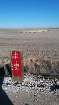 Vista a la Tierra de Campos
