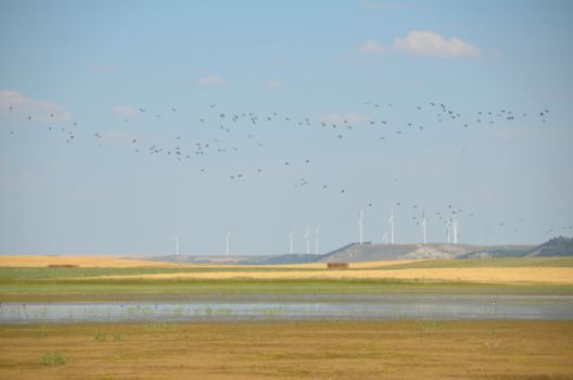 Laguna de Boada