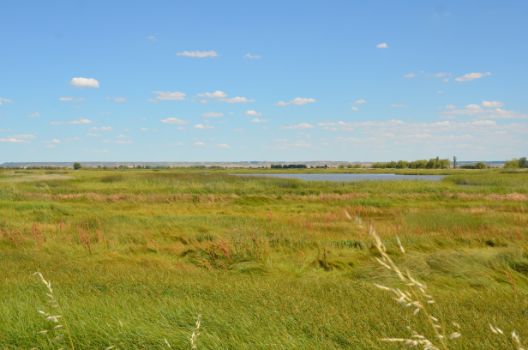 Laguna de la Nava