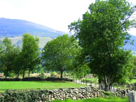 Prados a la salida de Cillero