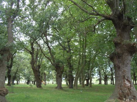Parque de San Martín
