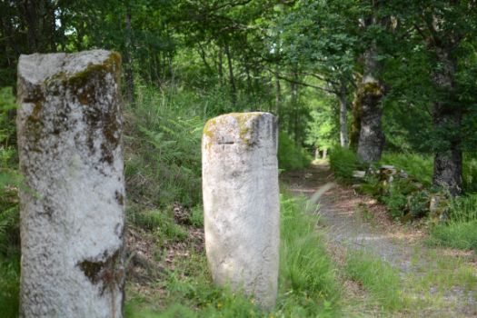 Miliarios de O Padrón