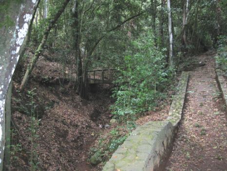 El camino comienza en el parque del Adelantado, en La Esperanza
