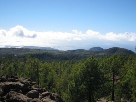 Vistas desde el pinar hasta la costa, en la última etapa del camino