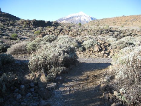 Imagen del Pico del Teide al llegar a El Portillo