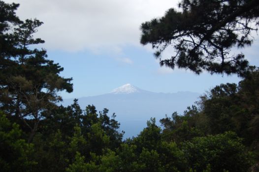 Panorámica del Teide