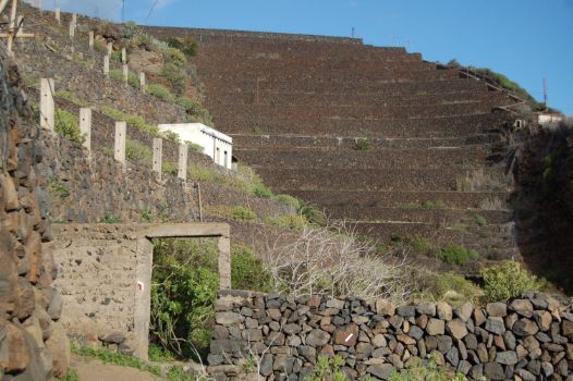 Terrazas de cultivo en Lepe