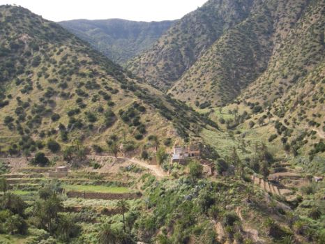 Algunos bancales se mantienen en uso en el Barranco del Clavo