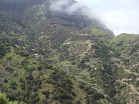Los bancales escalan las laderas ampliando la zona cultivable