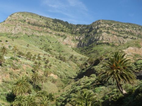 Increibles paisajes acompañan al viajero en su ruta