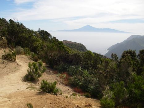 La silueta del Teide es visible desde varios puntos del camino