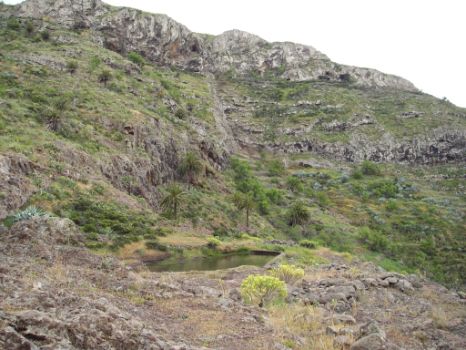 Pequeño estanque en el Barranco de los Charcos