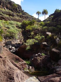 Cabecera del Barranco de las Cinco Palmas