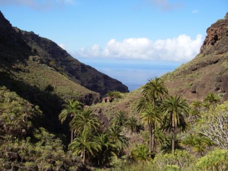 Paisaje típico de fondo de barranco