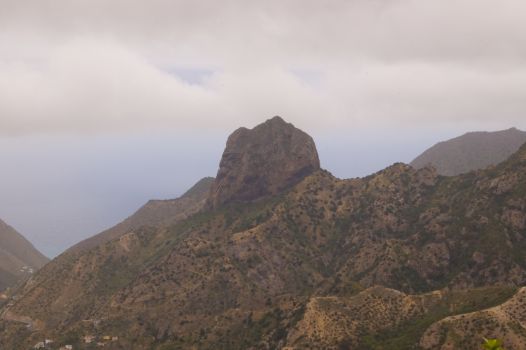 Roque Cano
