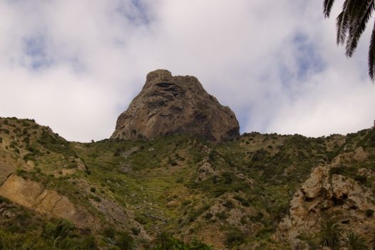 Roque Cano