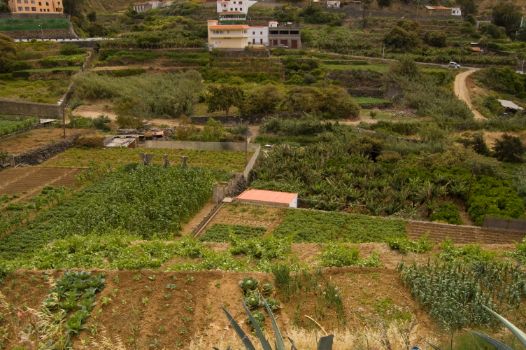 Huertas en Vallehermoso