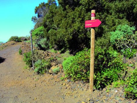 Muro de piedra en seco presente en el camino