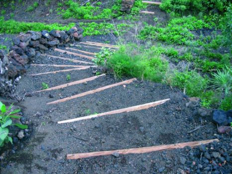 Sendero escalonado para salvar un barranquillo