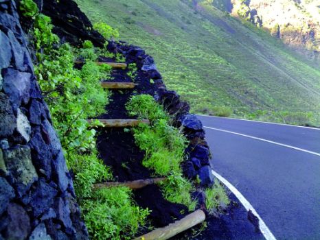 Cruce del sendero con carretera