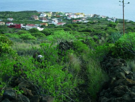 Vista de La Caleta