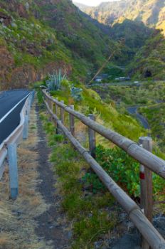 Etapa 1 del Camino Natural de La Palma