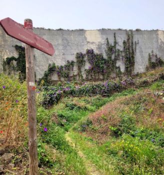 Señalización del Camino junto a plataneras