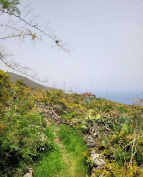 Camino natural a su paso por las medianías palmeras y por un granero tradicional.