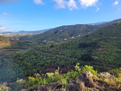 Panorámicas del término municipal de San Andrés y Los Sauces. 