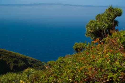 Panorámica desde el núcleo urbano de Los Franceses