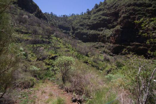 Barranco de Briestas