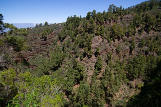 Barranco de Izcagua