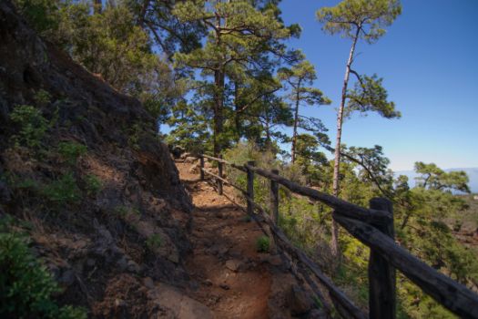 Descenso entre talanqueras desde el fondo del barranco de Izcagua