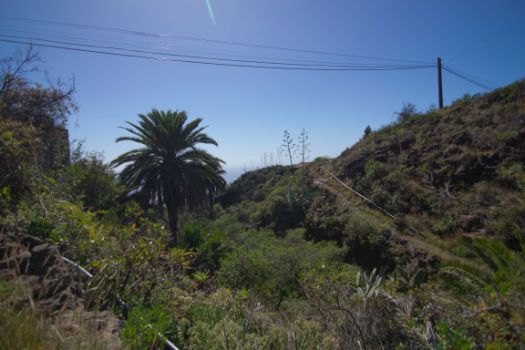 Barranco de Los Gomeros