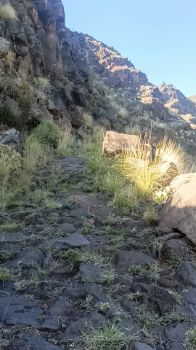 Aspecto del sendero por el que se desciende el barranco de las Angustias 