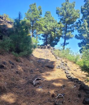 Detalle del suelo de la etapa compuesta por una calzada de rocas volcánicas. 