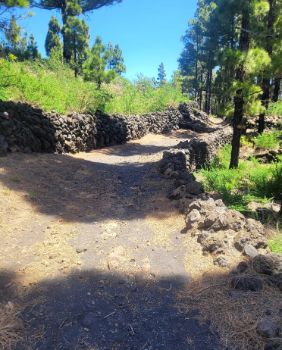 Últimos metros de la Etapa 6 por los pinares del Parque Cumbre Vieja