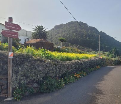 Últimos metros de la Etapa 7 con la Montaña de las Toscas al fondo.