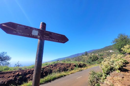 Señal de Caminos Naturales tras cruce de carretera con paisaje de medianías al fondo.