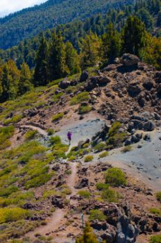 Senderista realizando el Camino Natural de La Palma