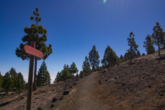 La ruta asciende por la ladera de la montaña Cabrera