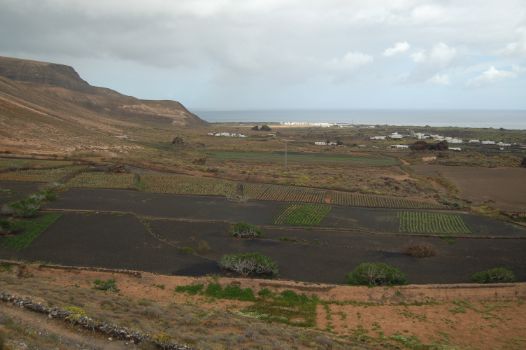 Vistas de Órzola