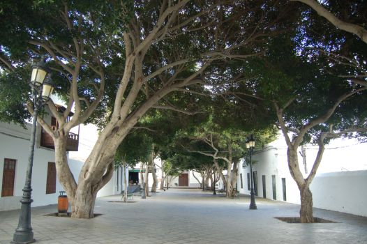 Plaza León y Castillo de Haría