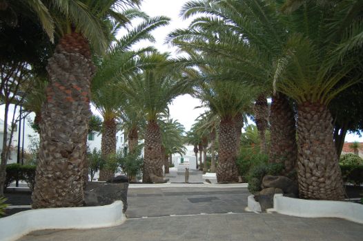 Plaza León y Castillo de San Bartolomé