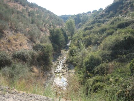 Arroyo de Valdeparra